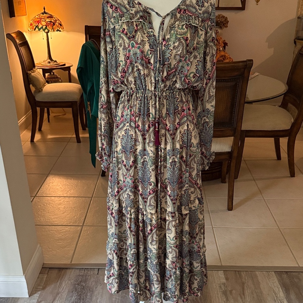 Paani Paisley Maxi Dress